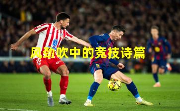 风劲吹中的竞技诗篇